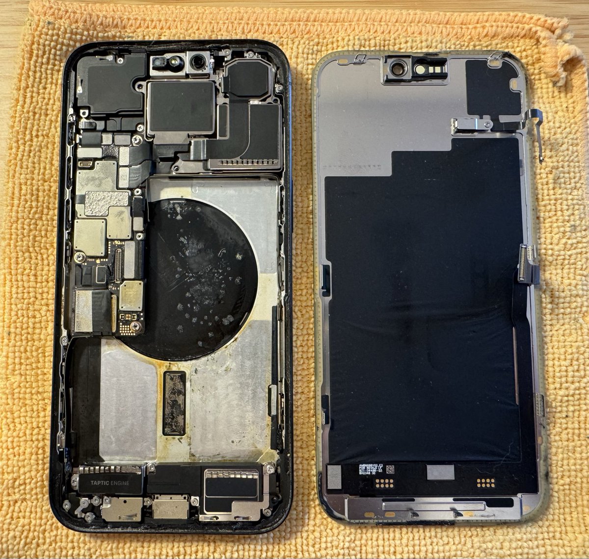 ₿ЯT 𐤊 🐈📈 tweet media