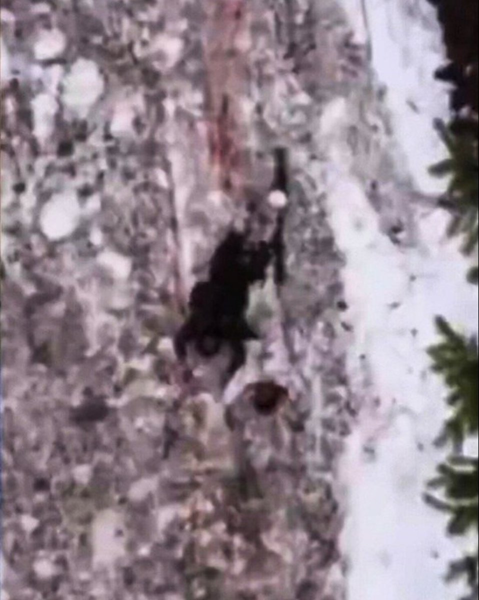 Vishwamitra tweet media