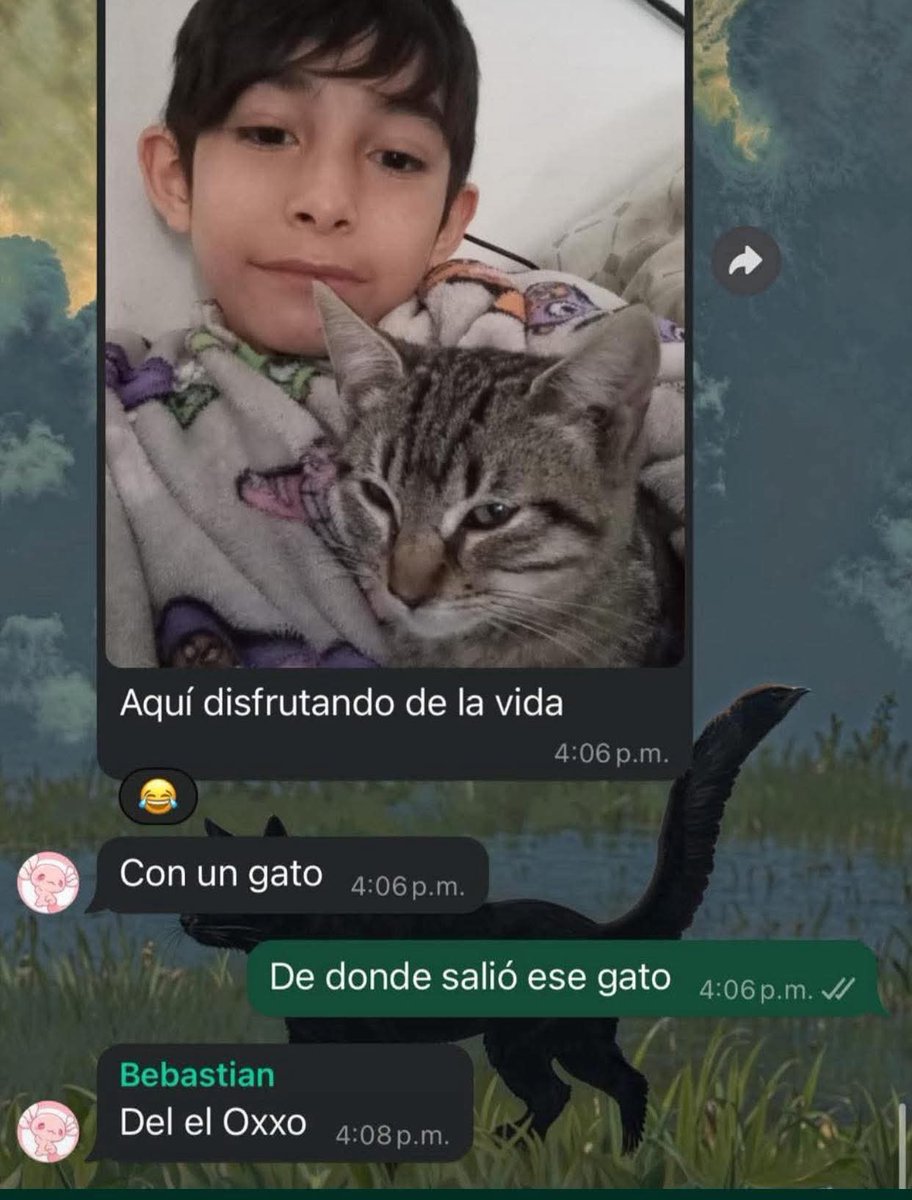 En Júpiter tweet media