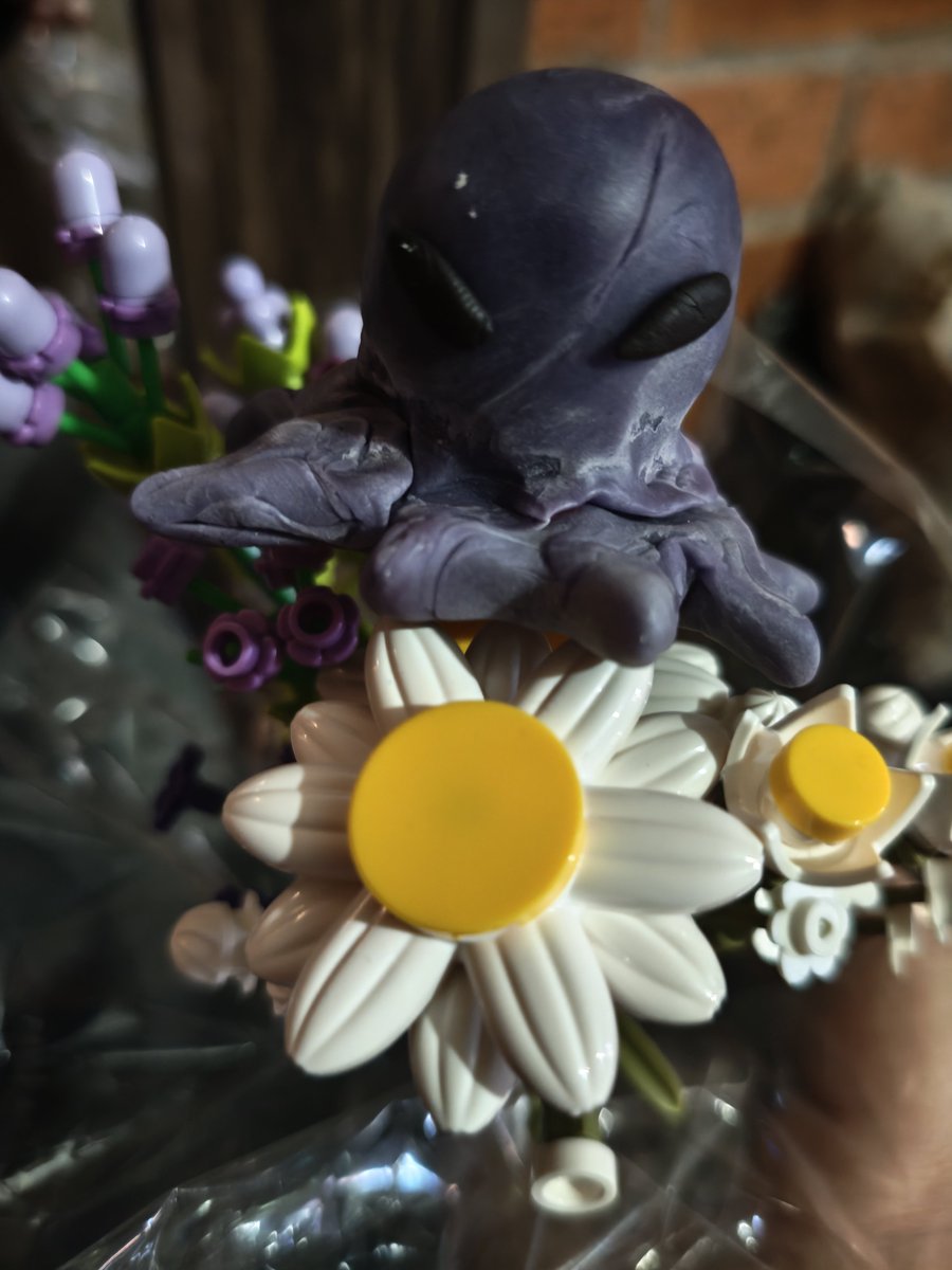 Rossie Bou 🫦 tweet media