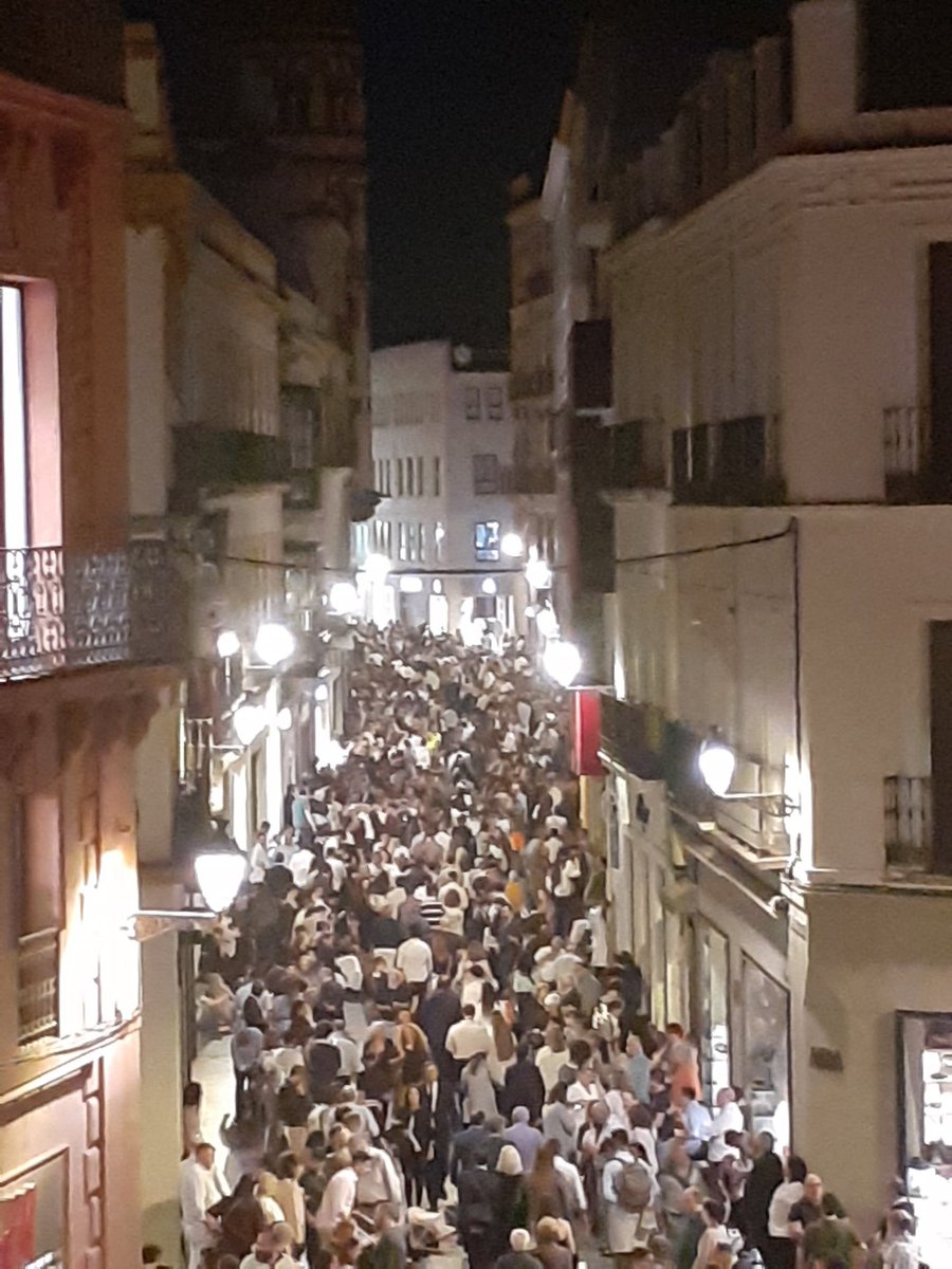 Proyectos Cofrades tweet media