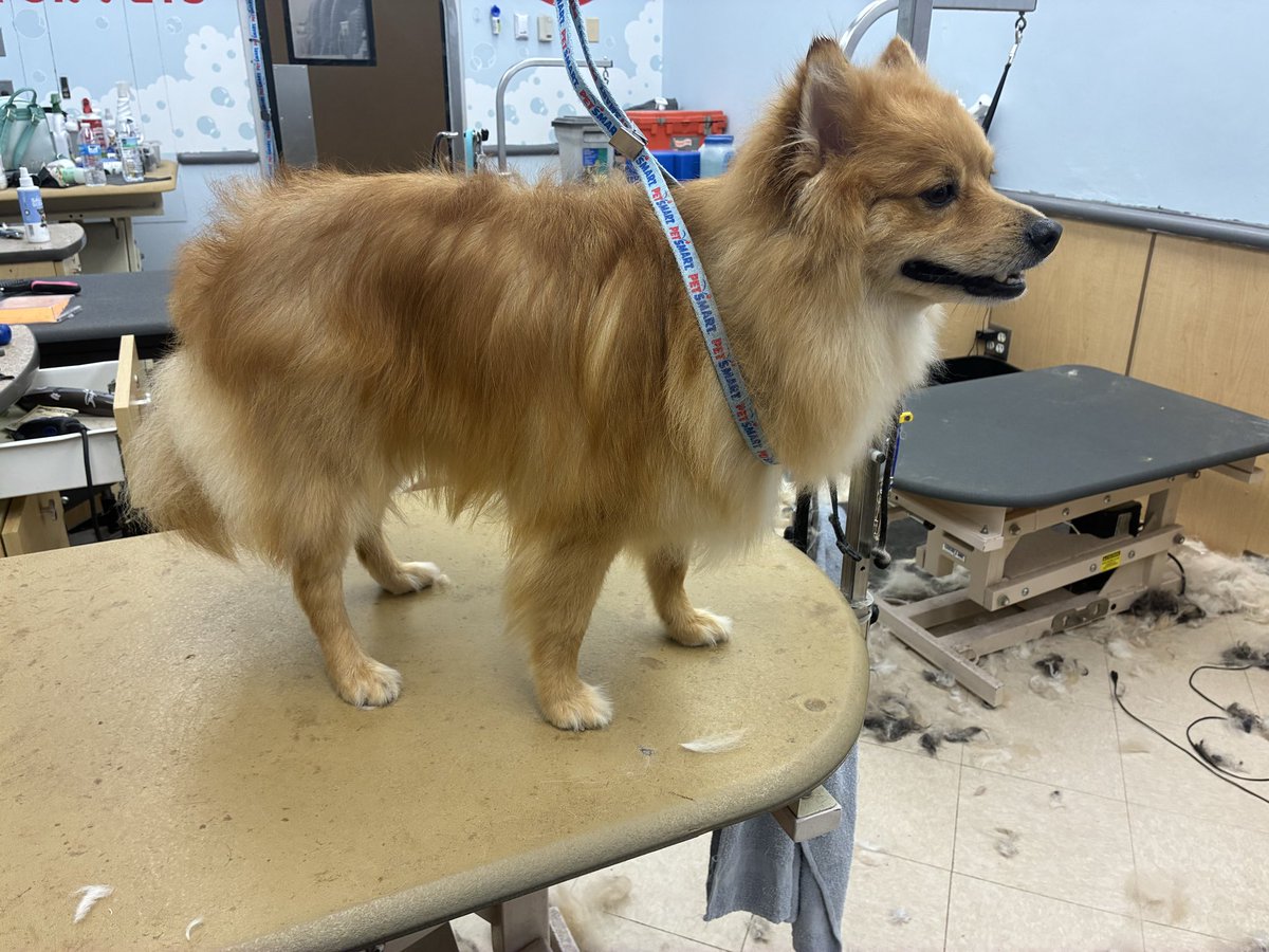 aaron 𐂂 tweet media