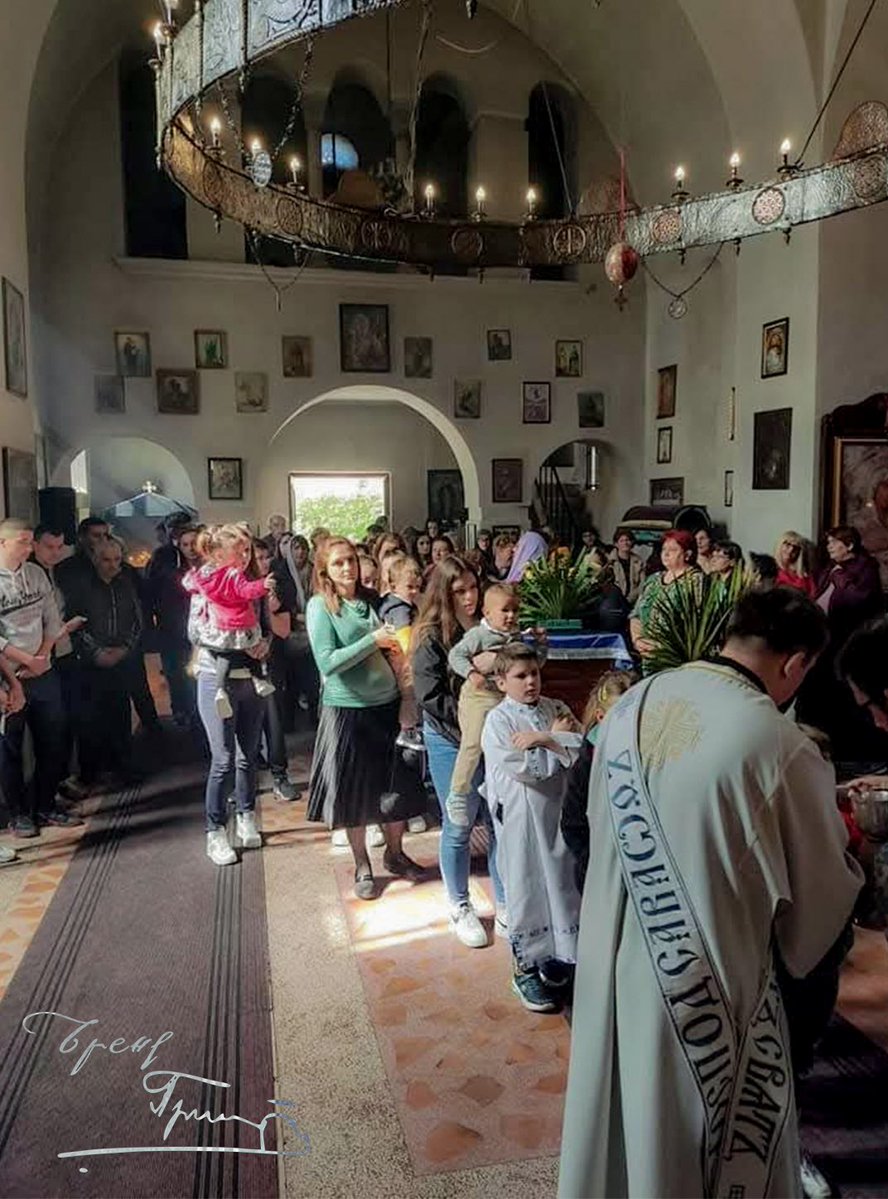 Принцип tweet media