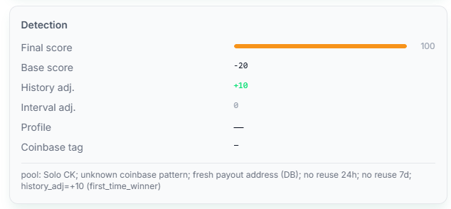 SoloBlocks.net tweet media