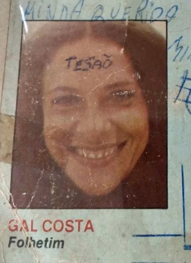 doce bárbara tweet media