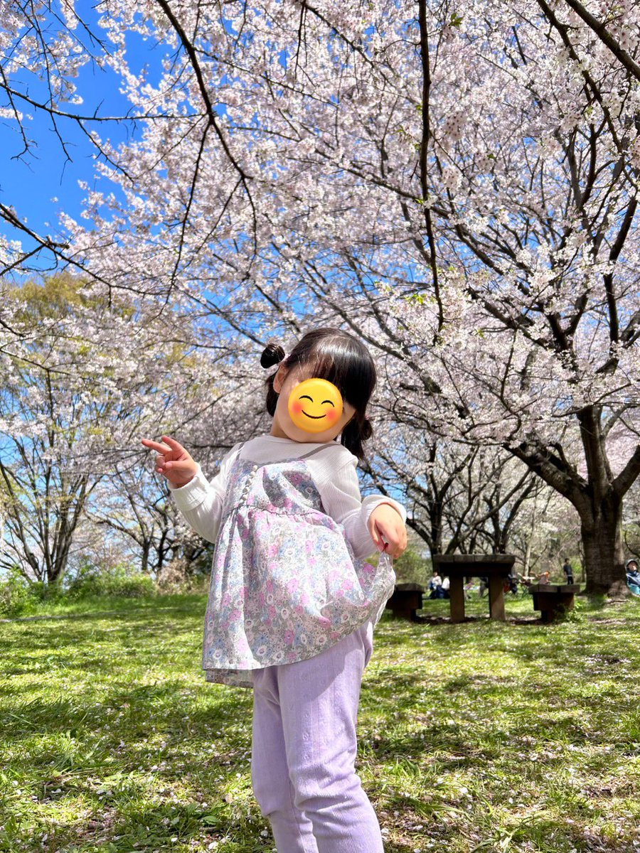 佐藤 雅司🌟2社の会社の社長 tweet media