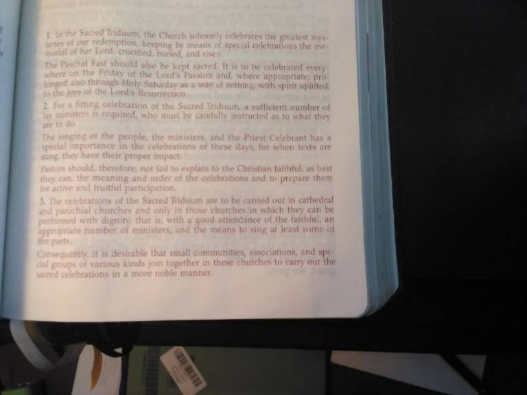 T. Ford 🇺🇸🌴 🐊 tweet media