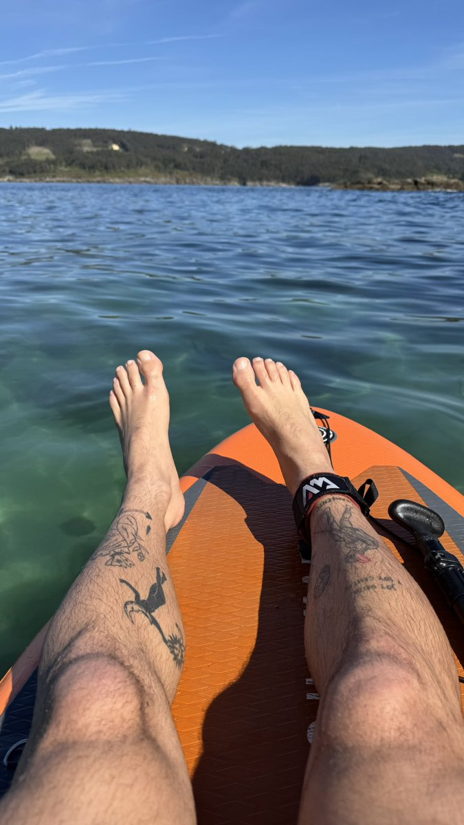 César Ferrío tweet media