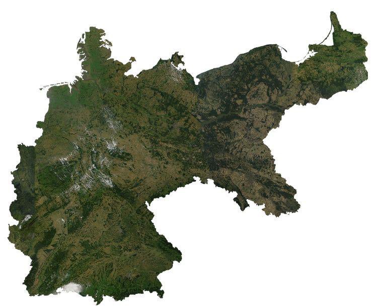 Peter Krämer tweet media