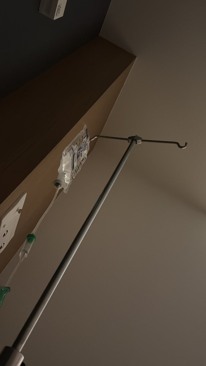 しゅが～ tweet media