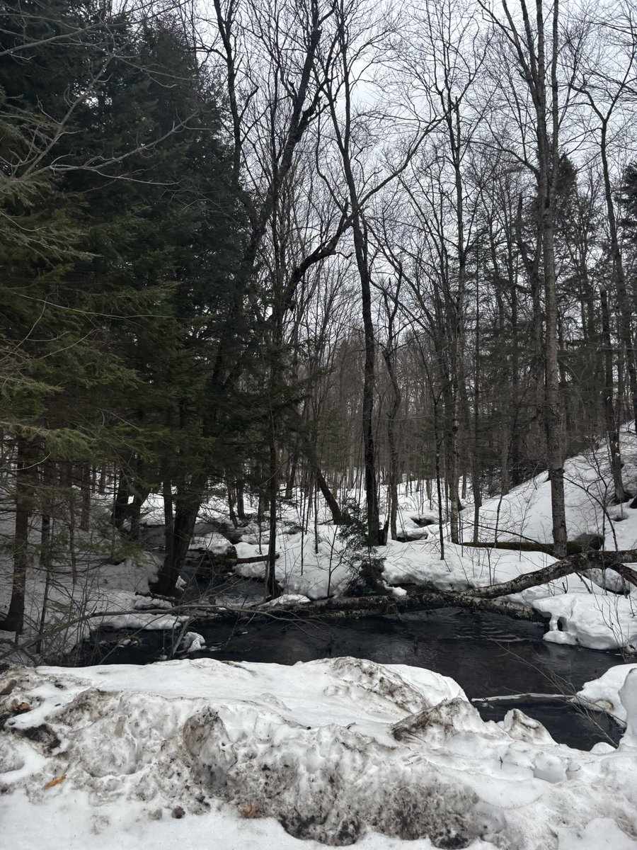 Nunya 🇨🇦 tweet media