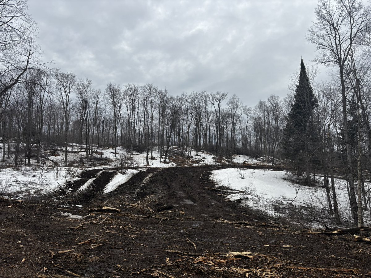 Nunya 🇨🇦 tweet media