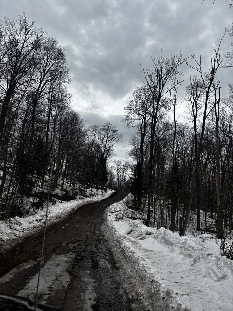 Nunya 🇨🇦 tweet media