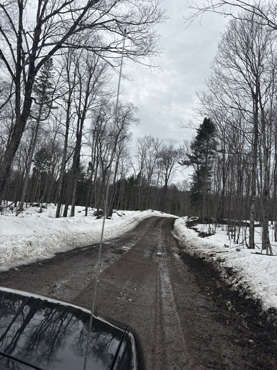 Nunya 🇨🇦 tweet media