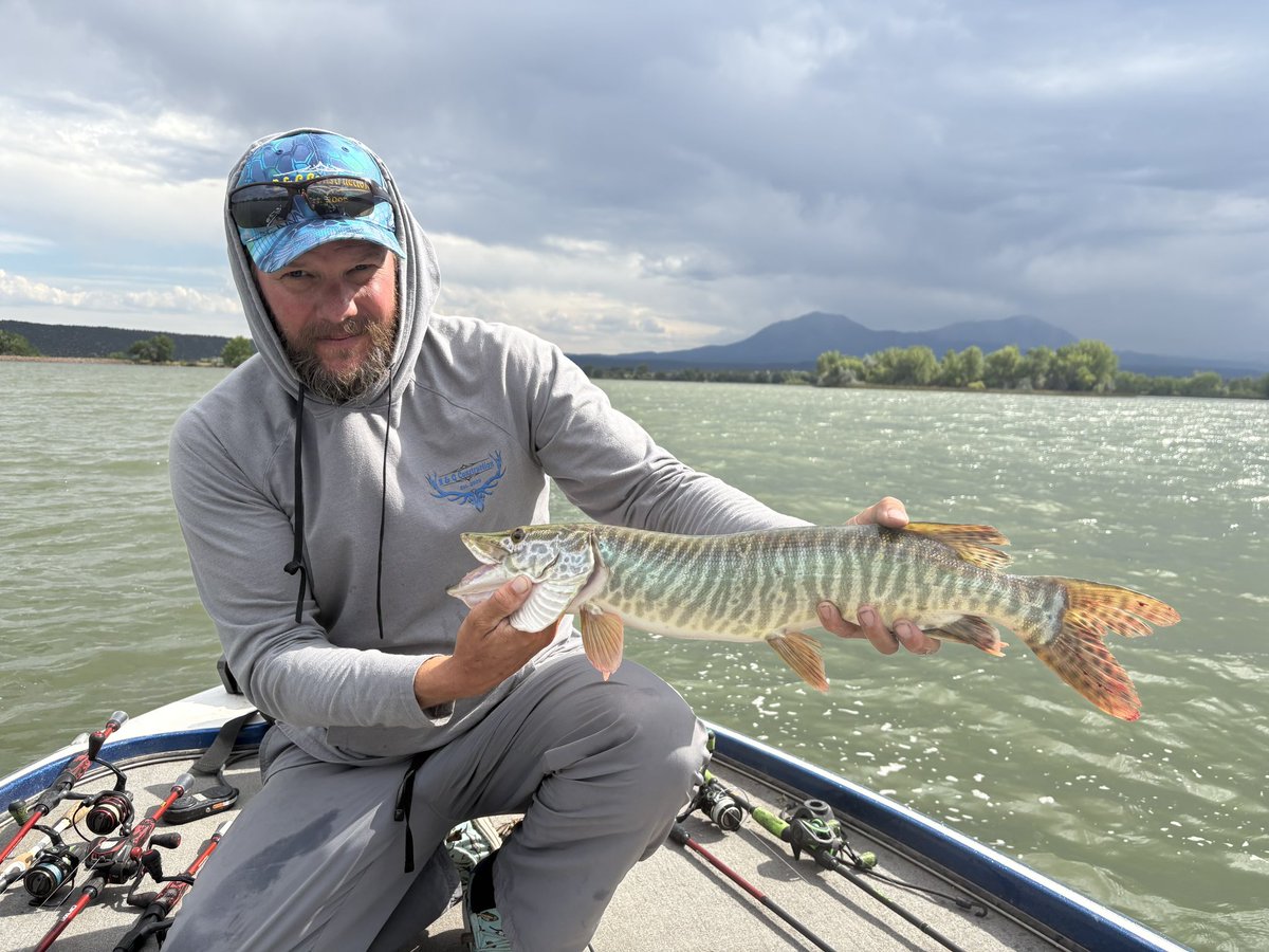 CPW SE Region tweet media