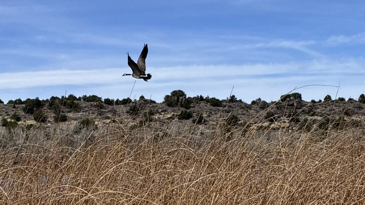 CPW SE Region tweet media