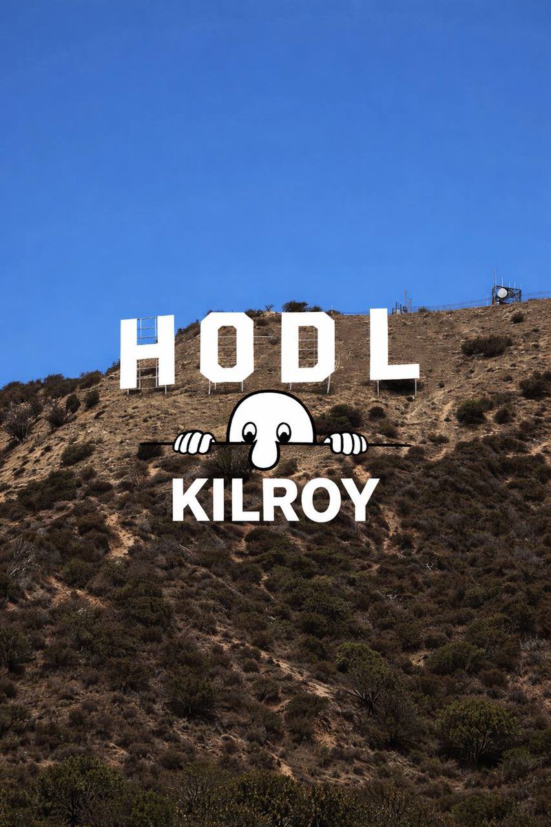 wesh was here tweet media