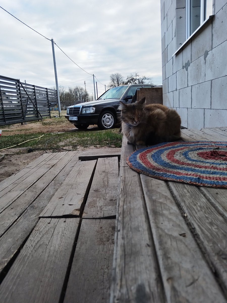 Дэнчык Кобра Вясковы tweet media