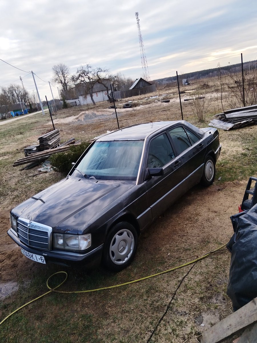 Дэнчык Кобра Вясковы tweet media