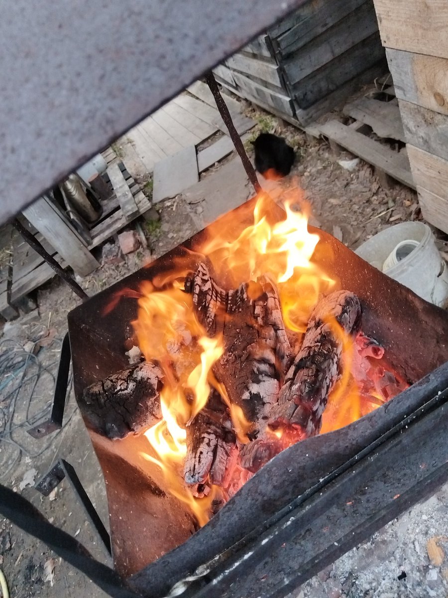 Дэнчык Кобра Вясковы tweet media