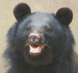 bancruppt tweet media