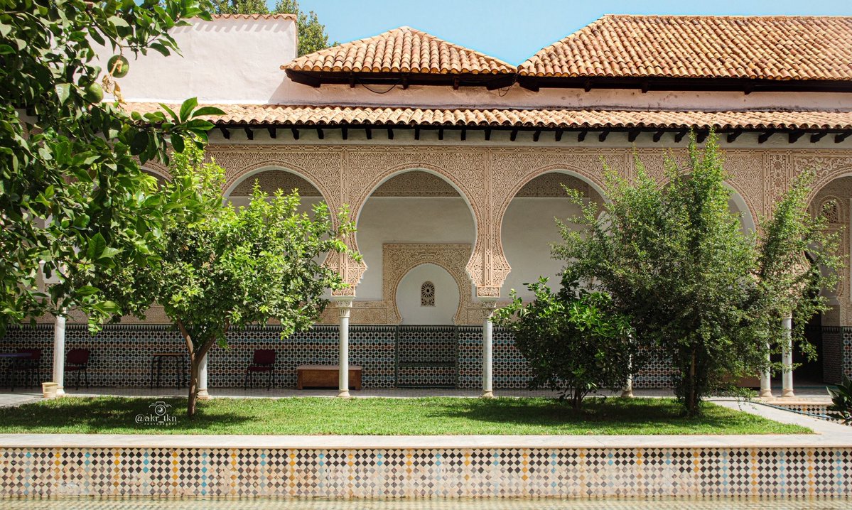 MENA Visuals tweet media