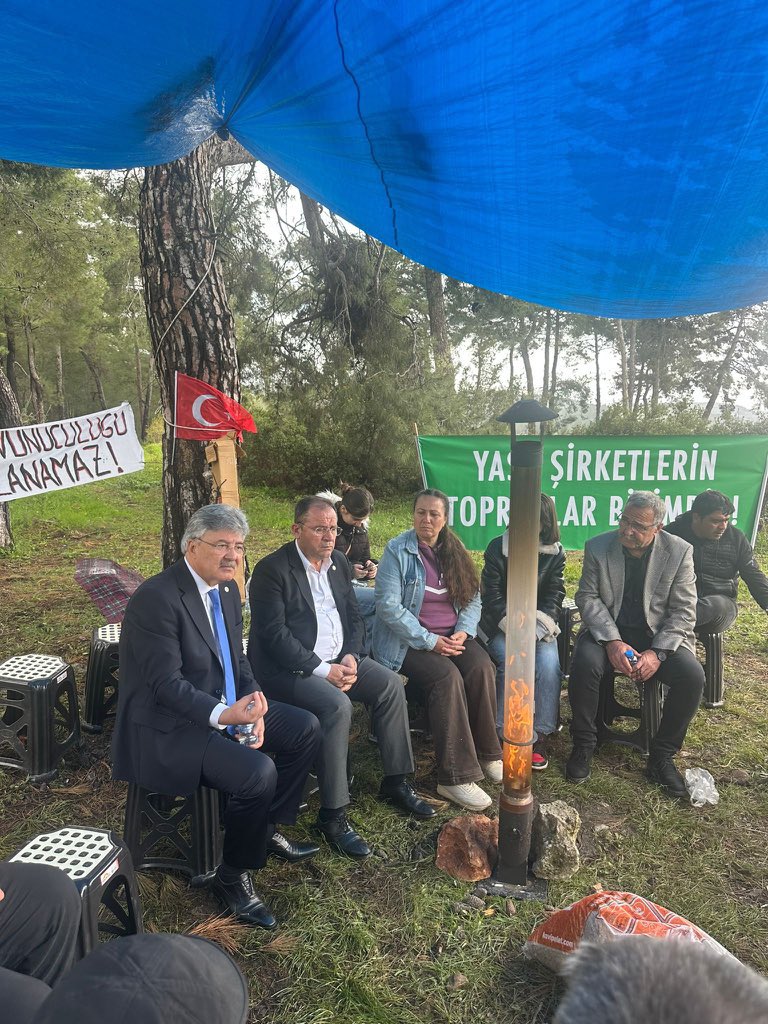 Zafer Haber tweet media