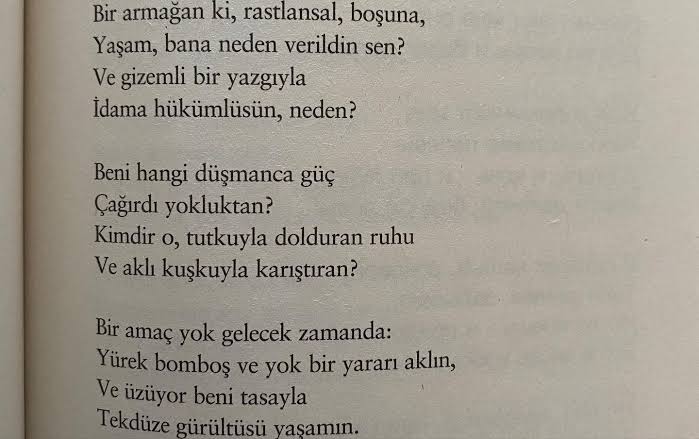 キュウラ tweet media