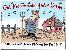 Nina Yates tweet media