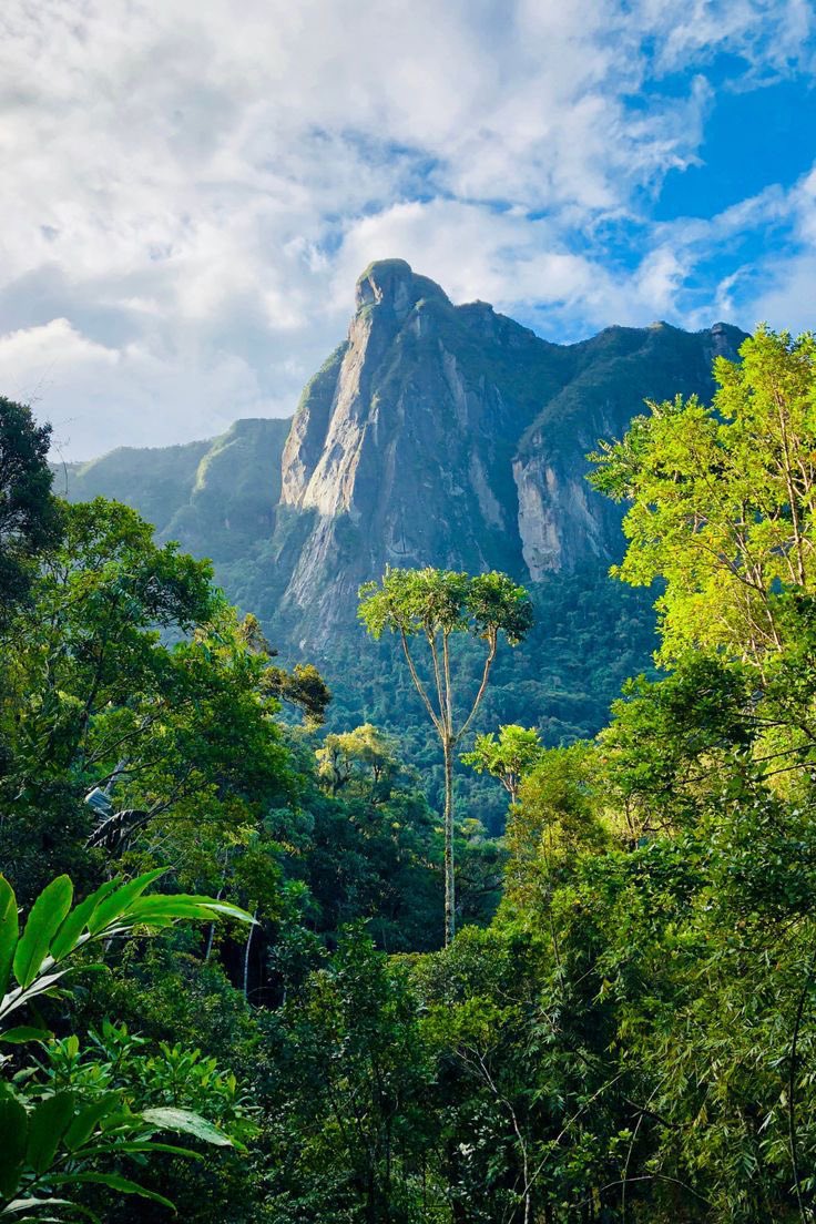 novaworld tweet media