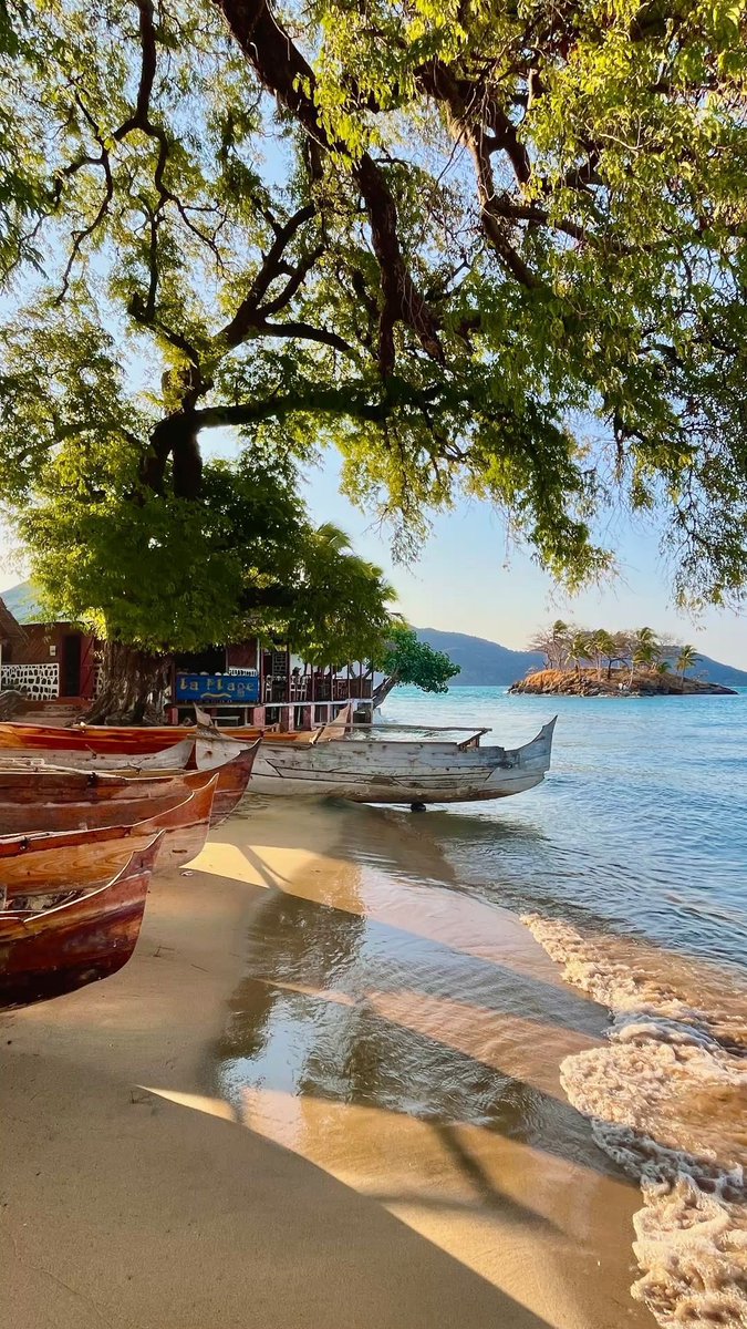 novaworld tweet media