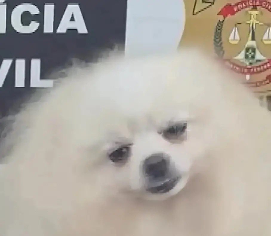 Miss Leaffar tweet media