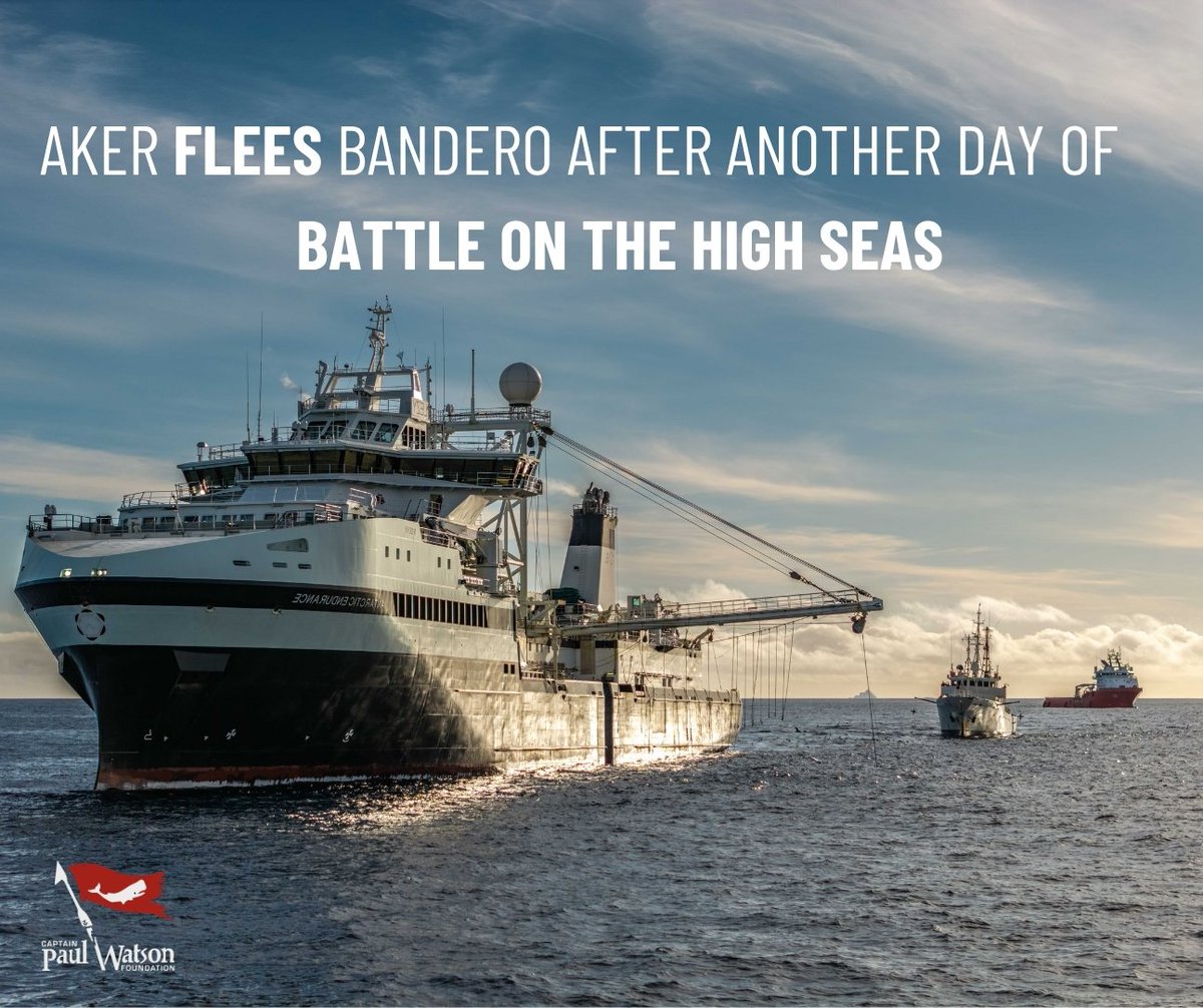 Shark Safety WA tweet media