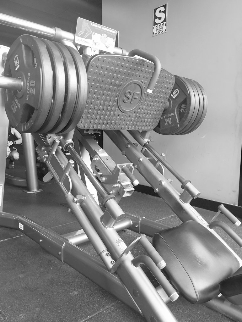 Lucianna Rosalinno🦋💜 tweet media