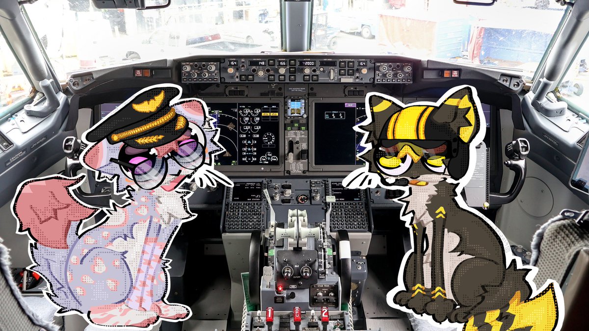 socks 🔜 AC tweet media