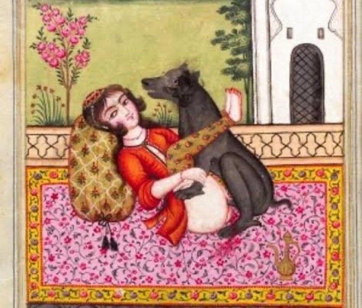 Barron Ben Roth tweet media