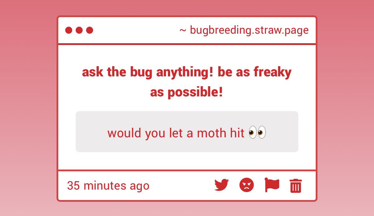 freaky ass bug tweet media