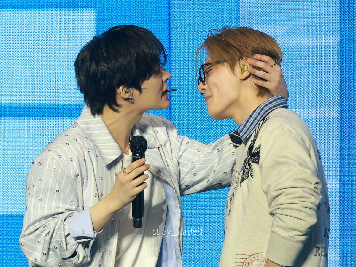 ˢᵗʳᵃʸ ᵗᵘʳᵗˡᵉ tweet media