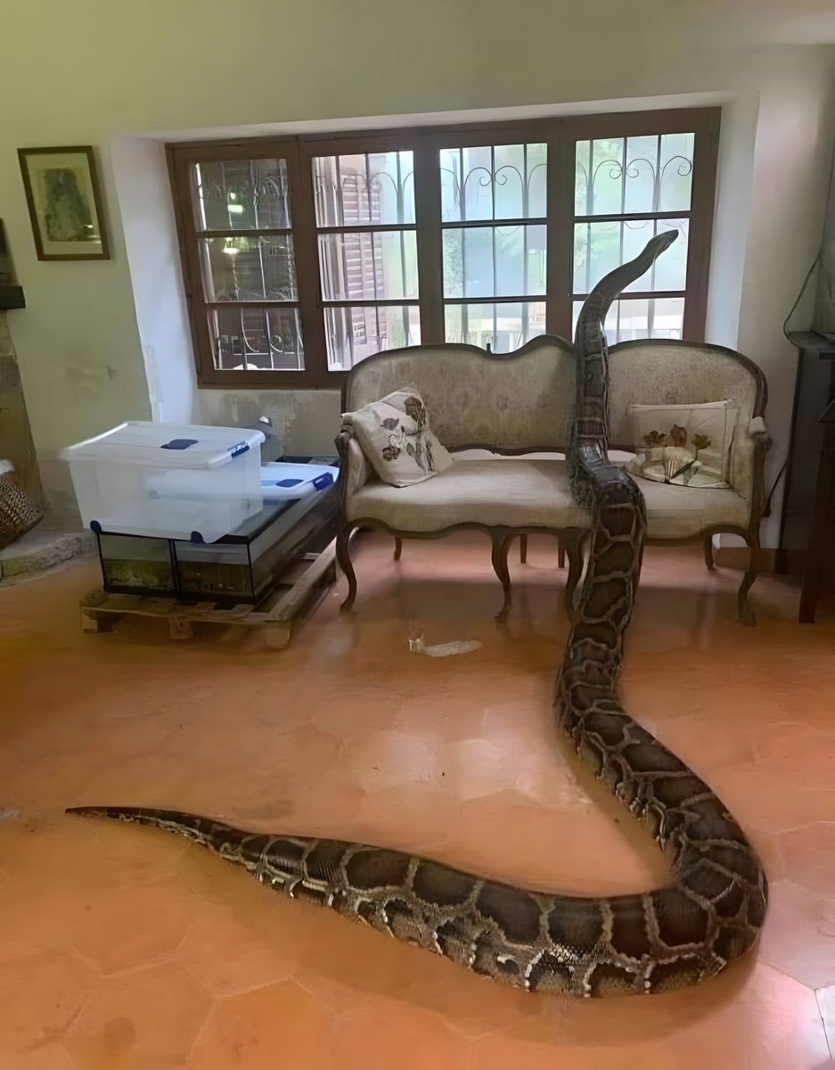 Williams tweet media