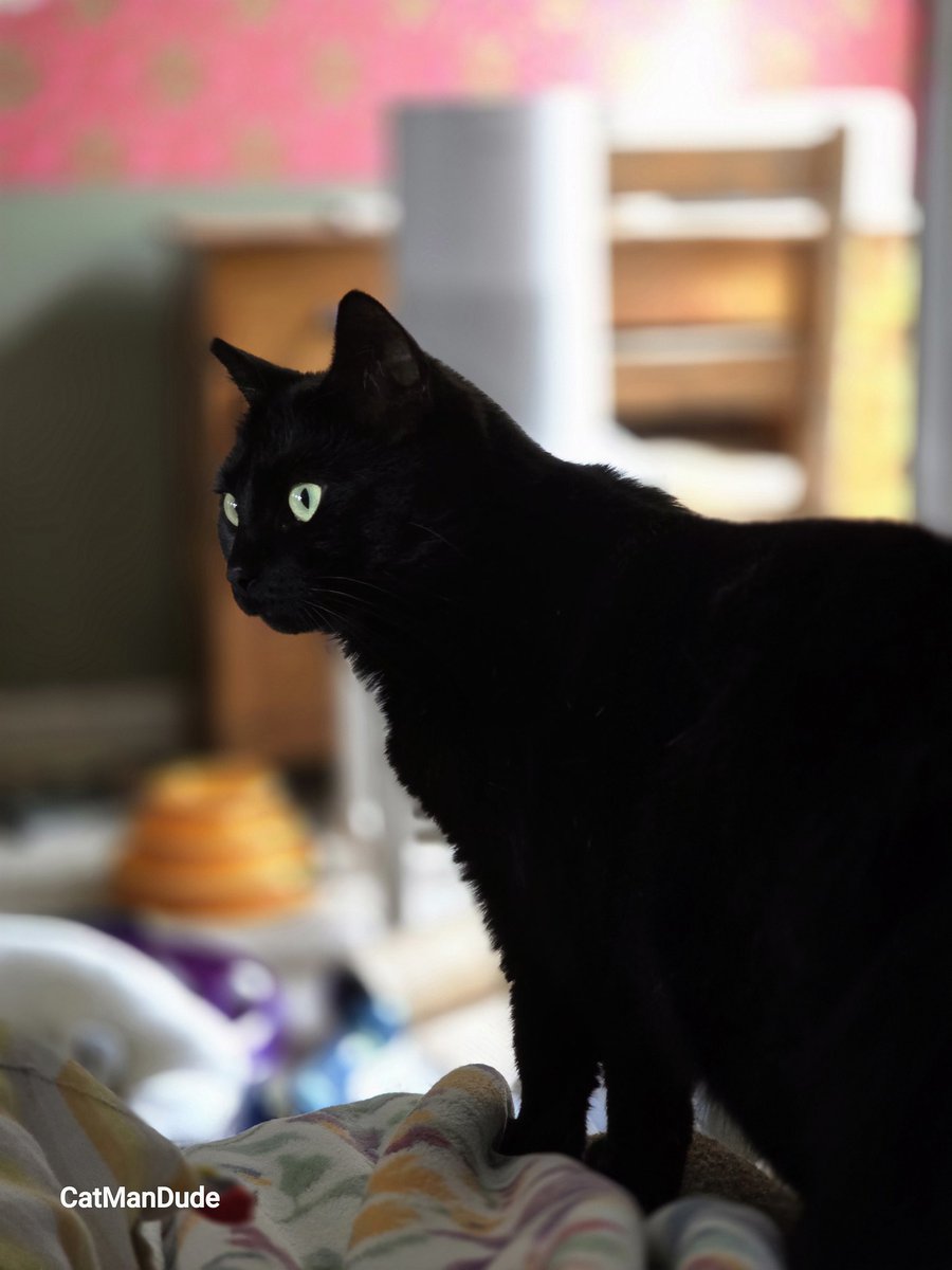 John Szimanouskas tweet media