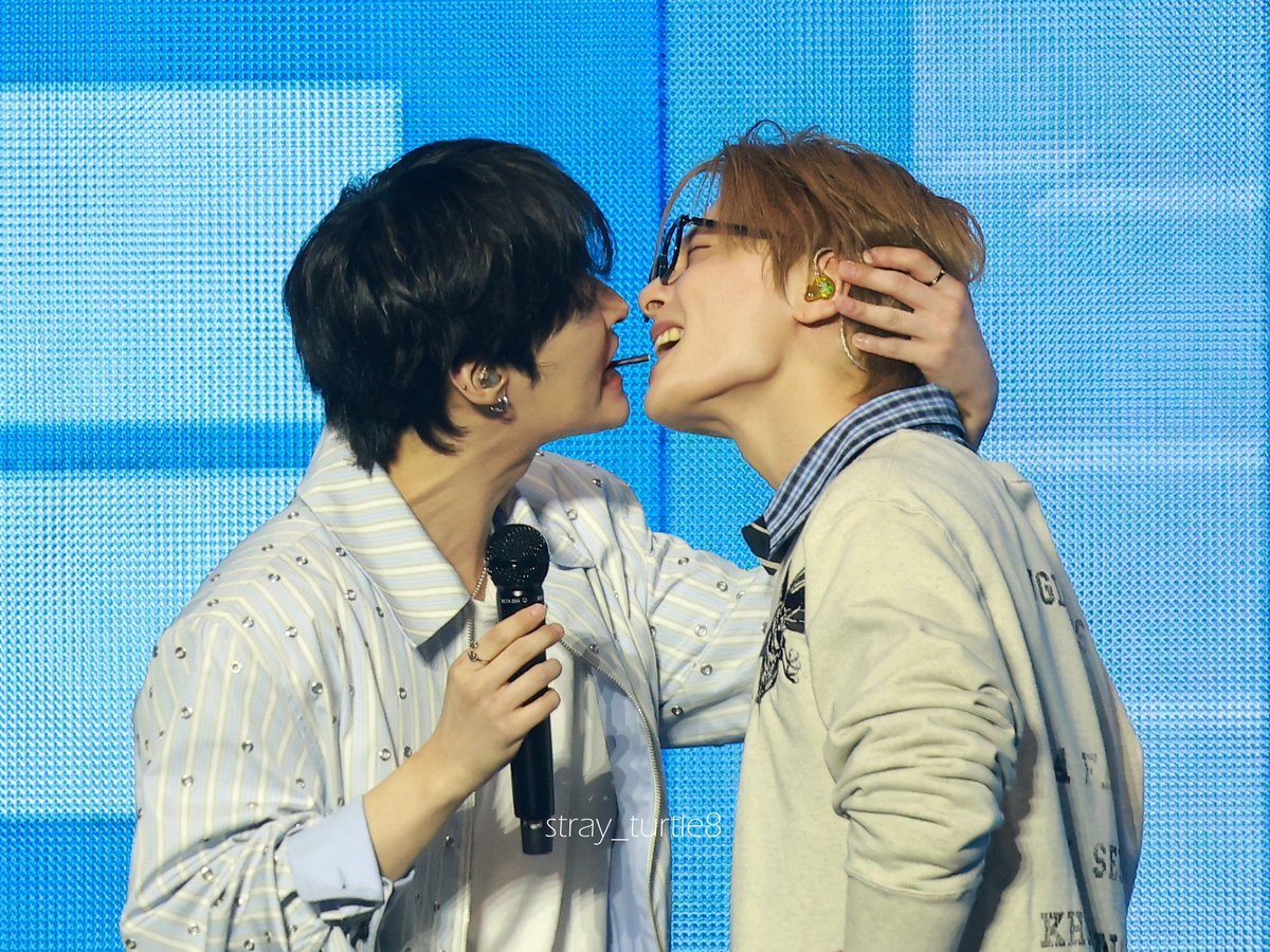 ˢᵗʳᵃʸ ᵗᵘʳᵗˡᵉ tweet media