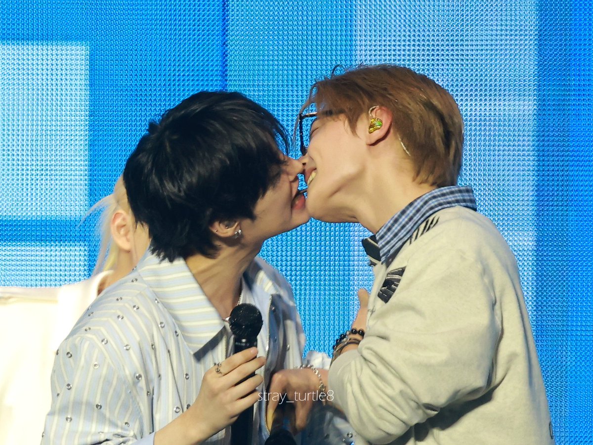 ˢᵗʳᵃʸ ᵗᵘʳᵗˡᵉ tweet media