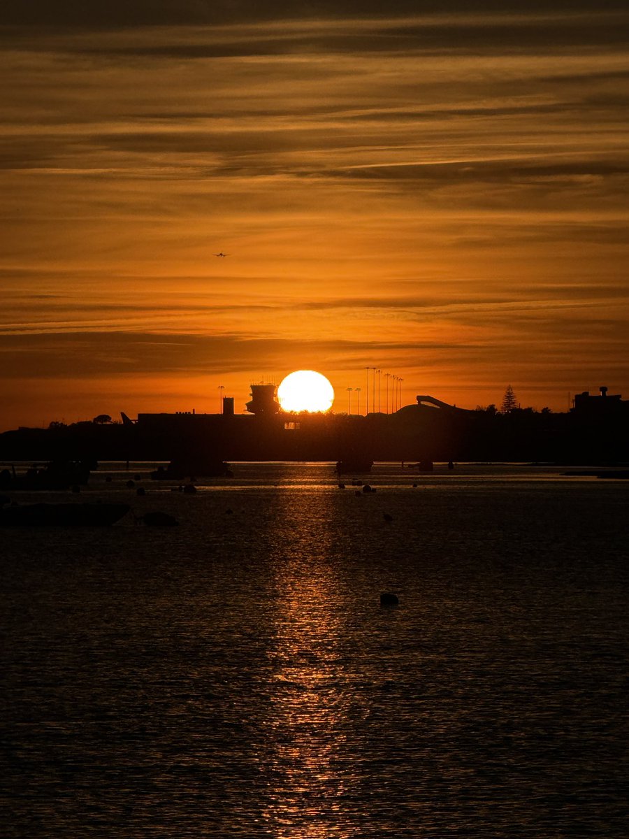 sara ★ tweet media