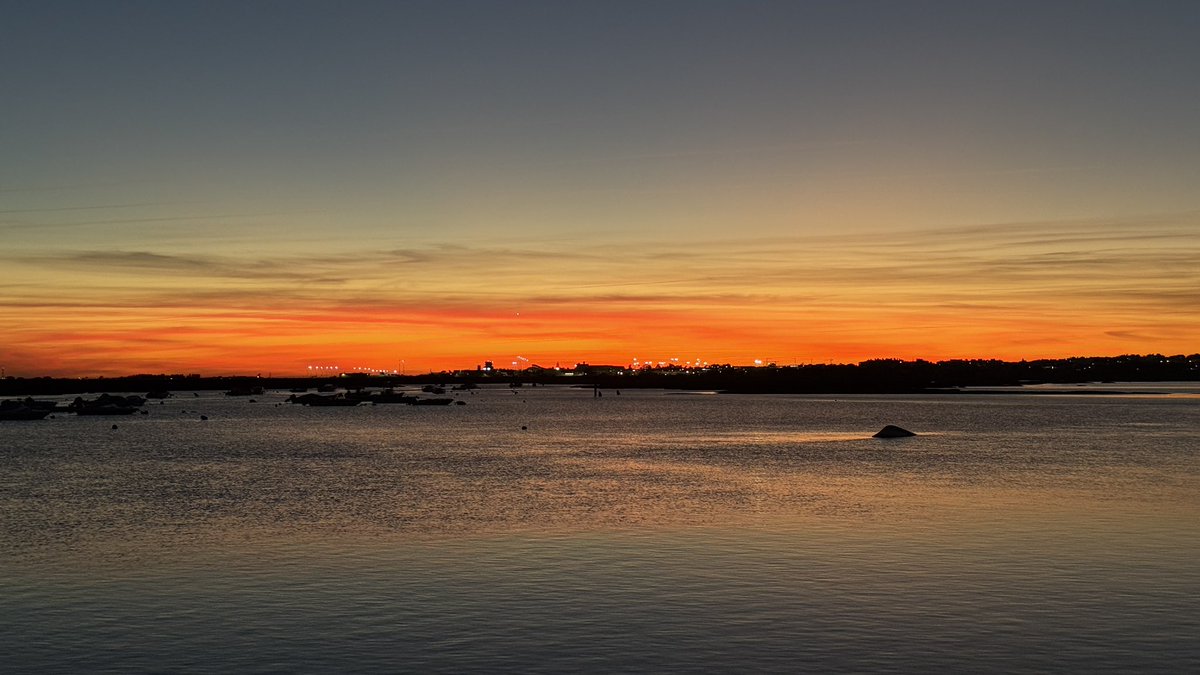 sara ★ tweet media