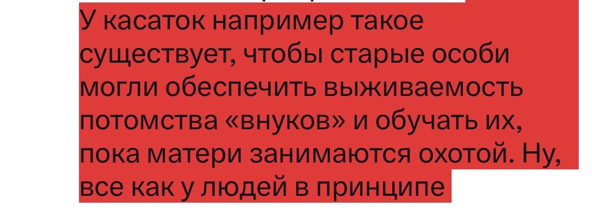 Helen 🎀 tweet media