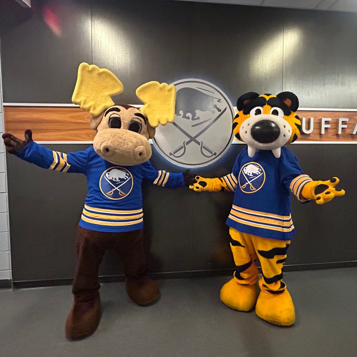 Rochester Americans tweet media