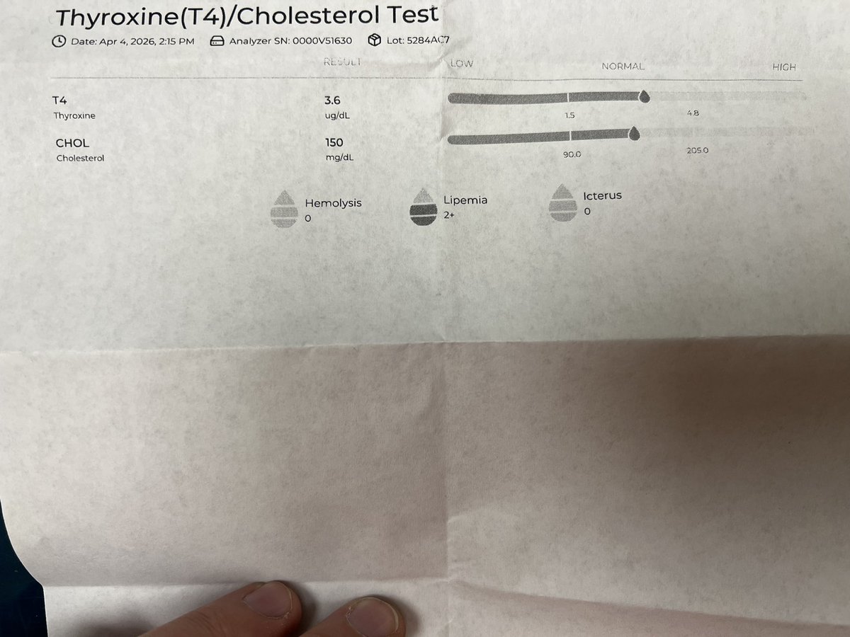 Haiku Hare tweet media