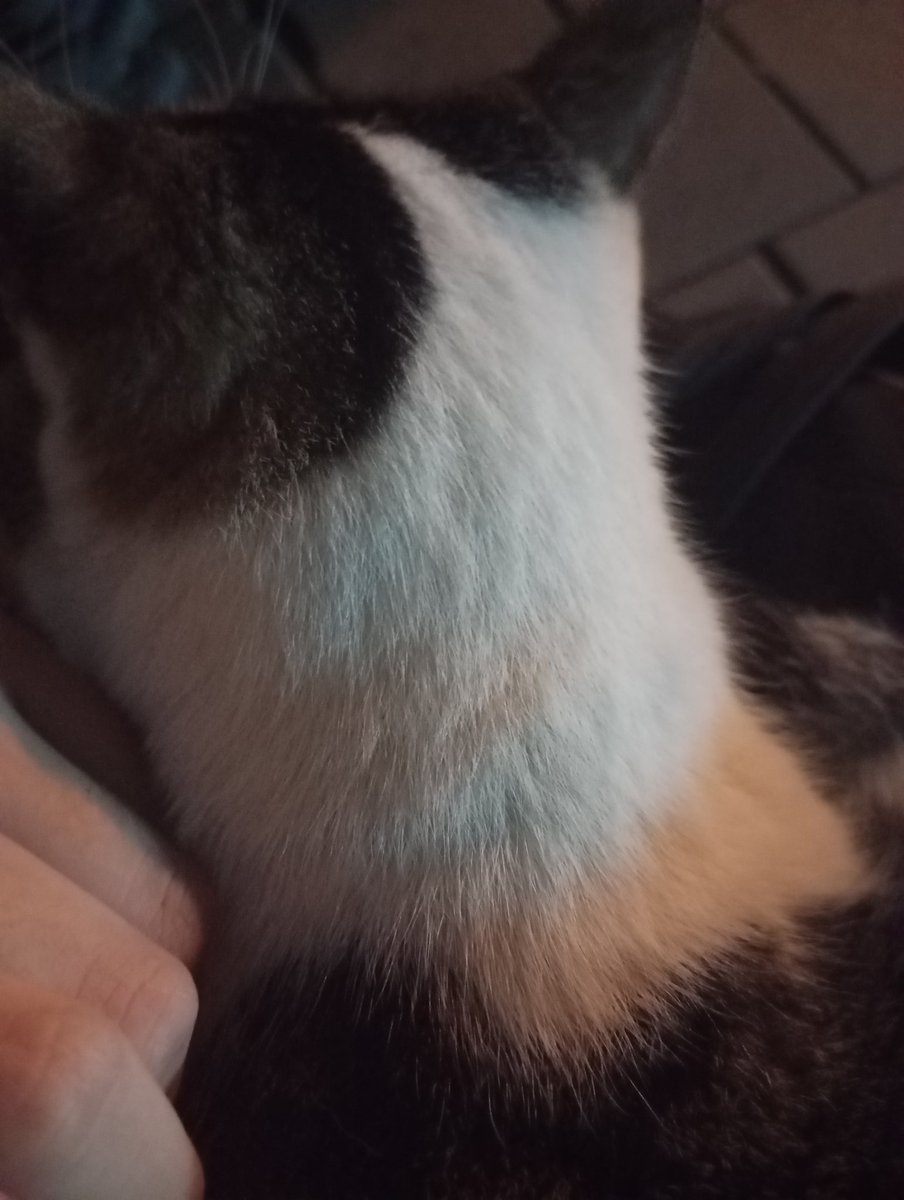 7th year: liya tweet media