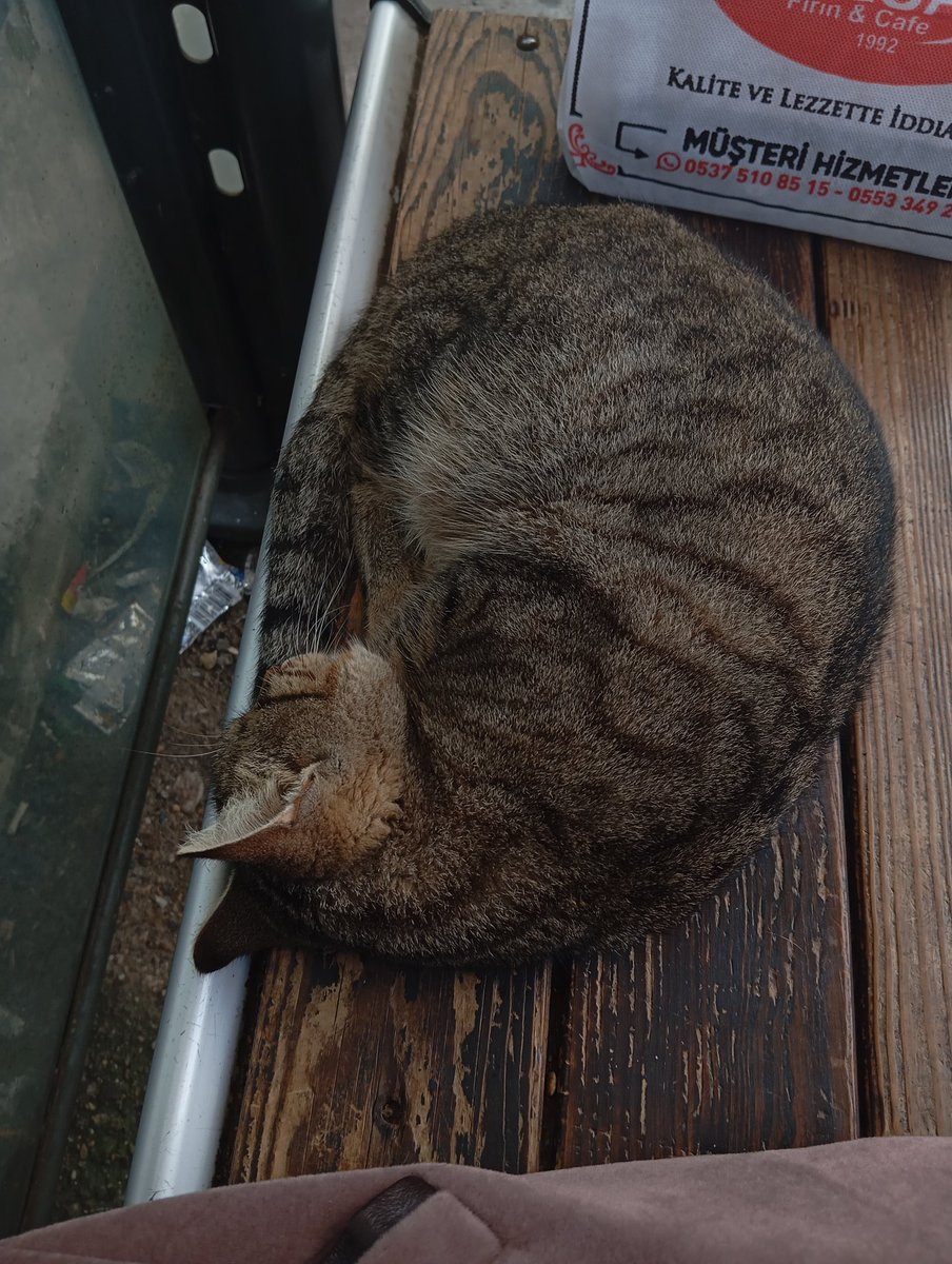 7th year: liya tweet media