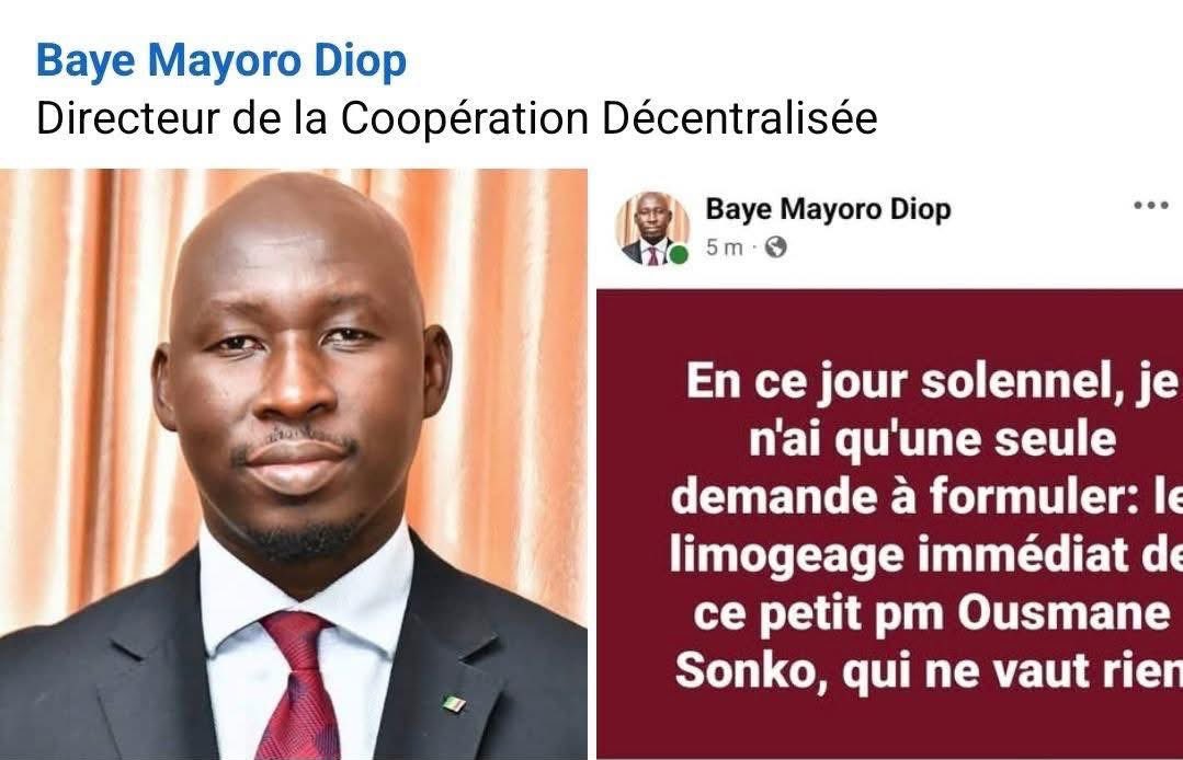 𝘼𝙗𝙧𝙤 𝙈𝙗𝙤𝙙𝙟🇸🇳 tweet media